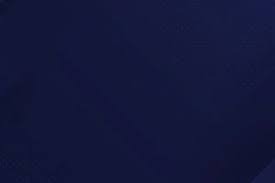 米体：国米看上刘易斯-弗格森，球员身价不低于3000万欧